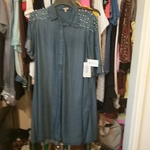 Denim dress brand Reba